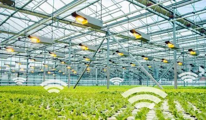 现代农业的新篇章 智慧农场、机器人、物联网与人工智能的融合