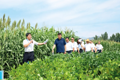 乡村振兴呼唤更多'农业CEO' 技术开发的力量