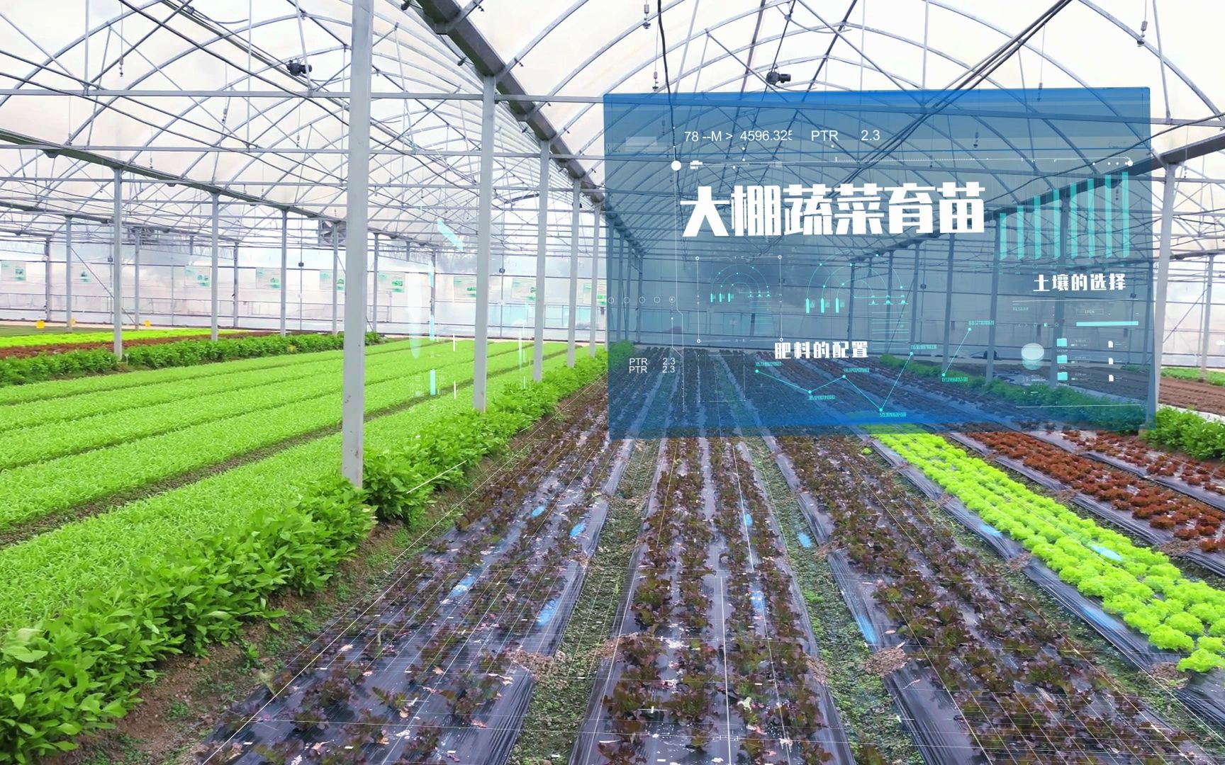 智慧农业温棚科技 信息技术在农业技术开发中的创新应用