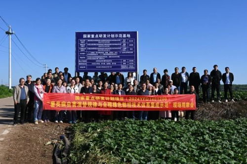 薯来运转 河南省农科院植保所召开甘薯病虫害绿色防控培训观摩会助力农业科技发展