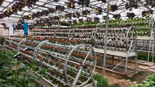 从面朝黄土到指尖耘田 一部剧照见的农业科技革命