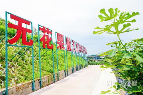 威远 走好产业发展特色路，打造现代农业新引擎