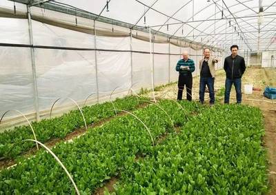 智慧农业赋能新春生产 贺州农业科技让优质农产品直抵湾区餐桌