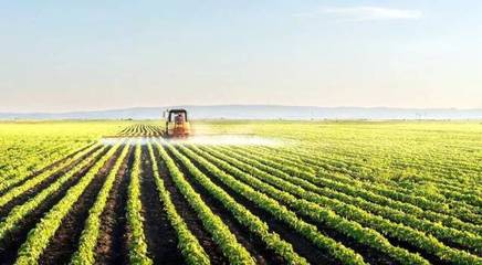 孙大文院士谈农业科技创新 聚焦信息化驱动的技术变革