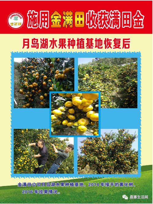 是什么让这个基地硕果累累？鹿寨柑橘大咖现场授课，诚邀您来参加