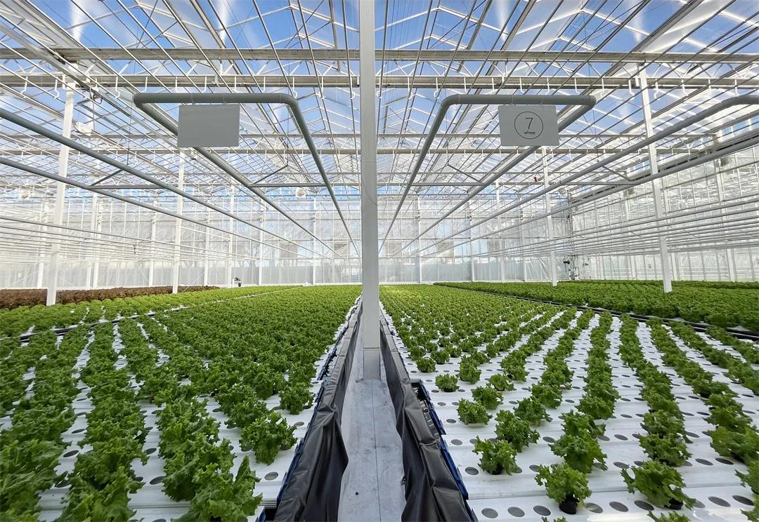 国家农业科技创新园项目信息化升级完成并投入使用