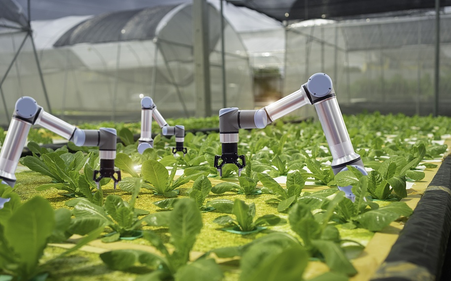 智能化流水线工厂生产 科技农业魅力无限