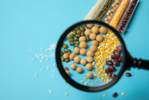 农业科技与食品安全 从五谷培育到高清视觉呈现